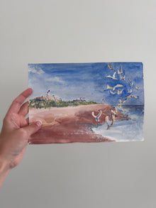  Wiborg Beach Seagulls
