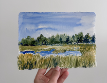 (AMERICAN SUMMER) The Cranberry Bogs
