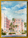 Colony Paradise