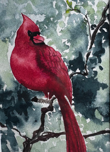  The Cardinal