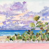 Palm Beach