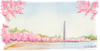Cherry Blossom Mug 15oz Mug
