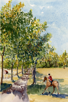  Late Summer Horse and Rider ORIGINAL