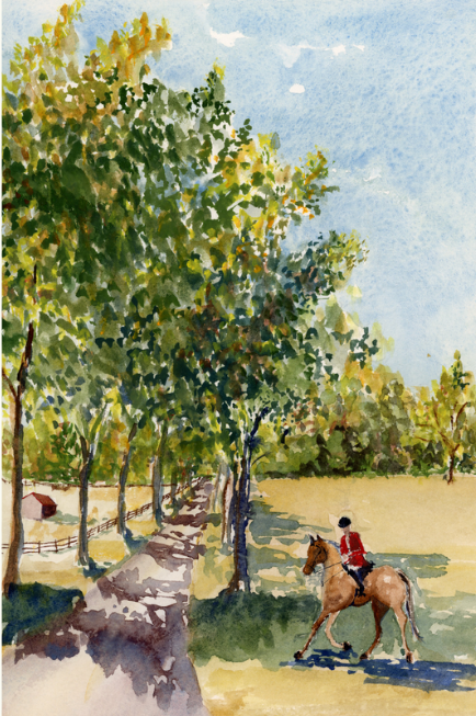 Late Summer Horse and Rider ORIGINAL