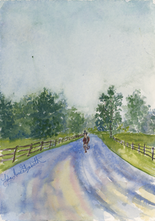  Misty Path