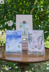 Palm Beach 2026 Desk Calendar Box - Ltd. 10th Anniversary Edition