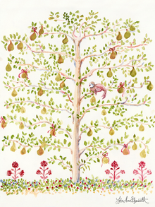  Espalier Pear Tree