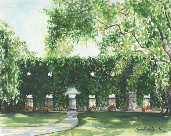Print of “The Ivy Wall at Goodstone Inn”