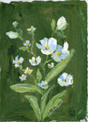 Sage Blooms (Oil)