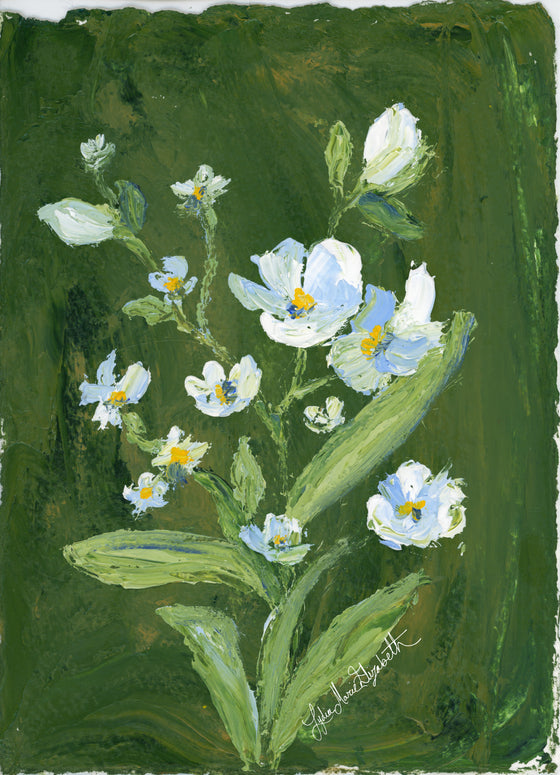Sage Blooms (Oil)