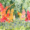 In the Garden