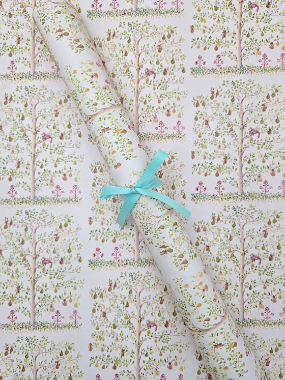 Espalier Pear Tree in Blush Wrapping Paper