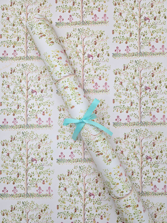Espalier Pear Tree in Blush Wrapping Paper
