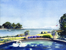  Print of “Swan Pond”