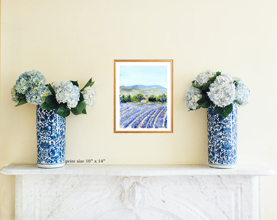 Print of Lavender Fields at Valensole
