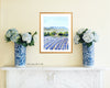 Print of Lavender Fields at Valensole