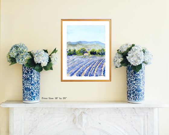 Print of Lavender Fields at Valensole