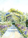 Print of Monet's Garden