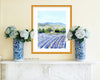 Print of Lavender Fields at Valensole