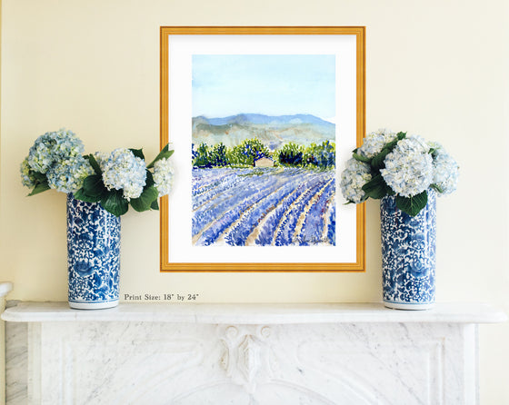Print of Lavender Fields at Valensole