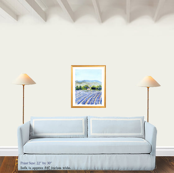 Print of Lavender Fields at Valensole