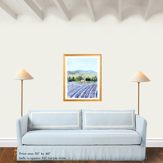 Print of Lavender Fields at Valensole