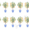 Potted Orange Tree