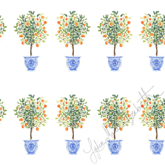 Potted Orange Tree