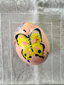  Butterfly Egg