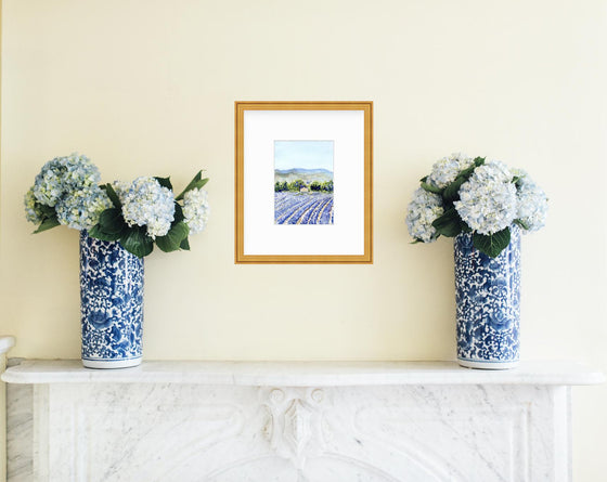 The Fields at Valensole