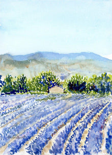  The Fields at Valensole