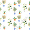 Orange Blossom Medley