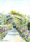 Monet's Garden