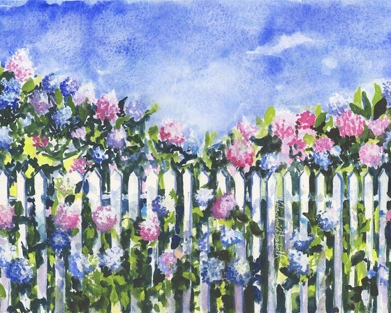 Hydrangeas